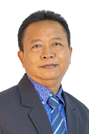 Prof. Dr. Ir. I Ketut Widnyana, M.Si.